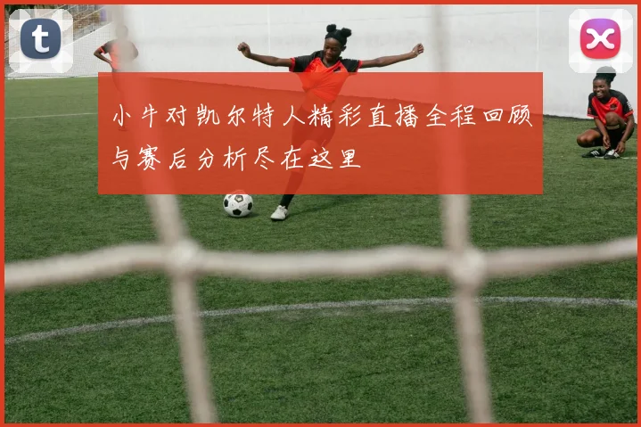 小牛对凯尔特人精彩直播全程回顾与赛后分析尽在这里